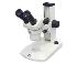 Estereomicroscópio (lupa) binocular com zoom e led